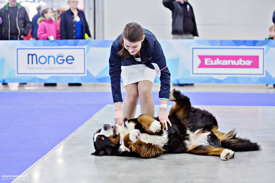 Злата бешун.jpg