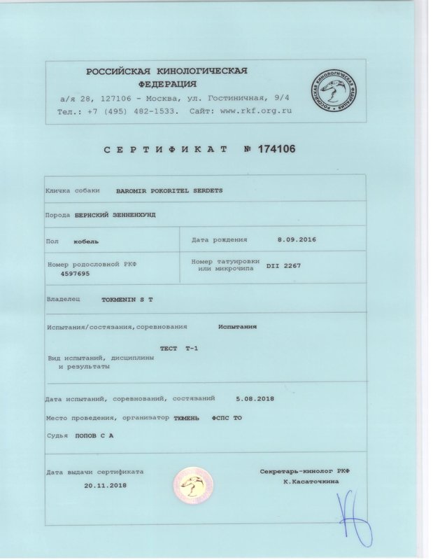 Сертификат_Тестирования_Т1.jpg