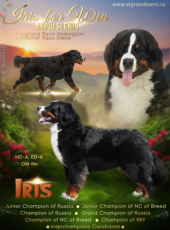 ирис берн - копия.jpg