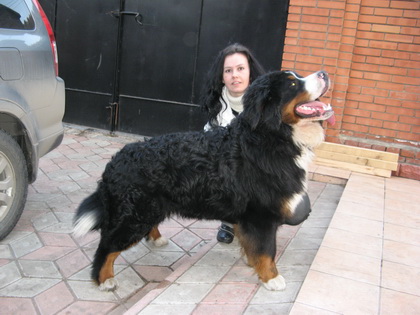 карлуха.jpg