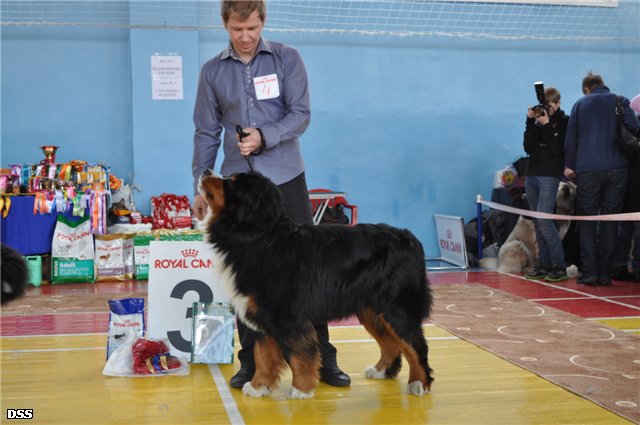 линкей.jpg