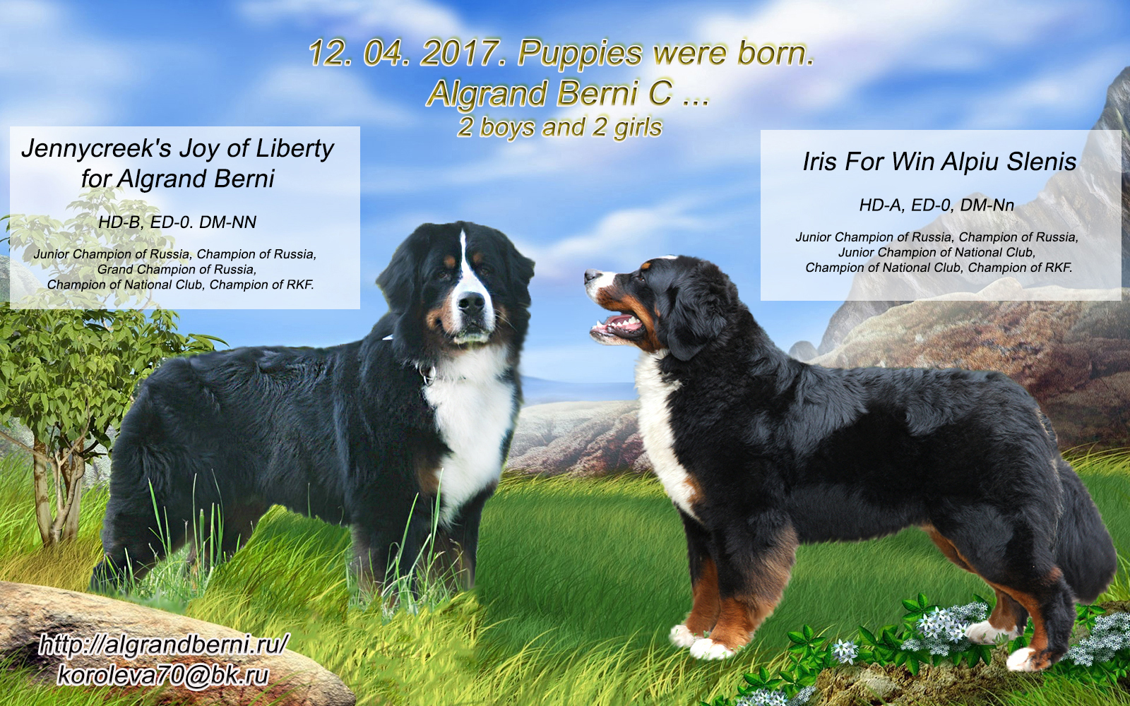 щенки 1 - копия.jpg