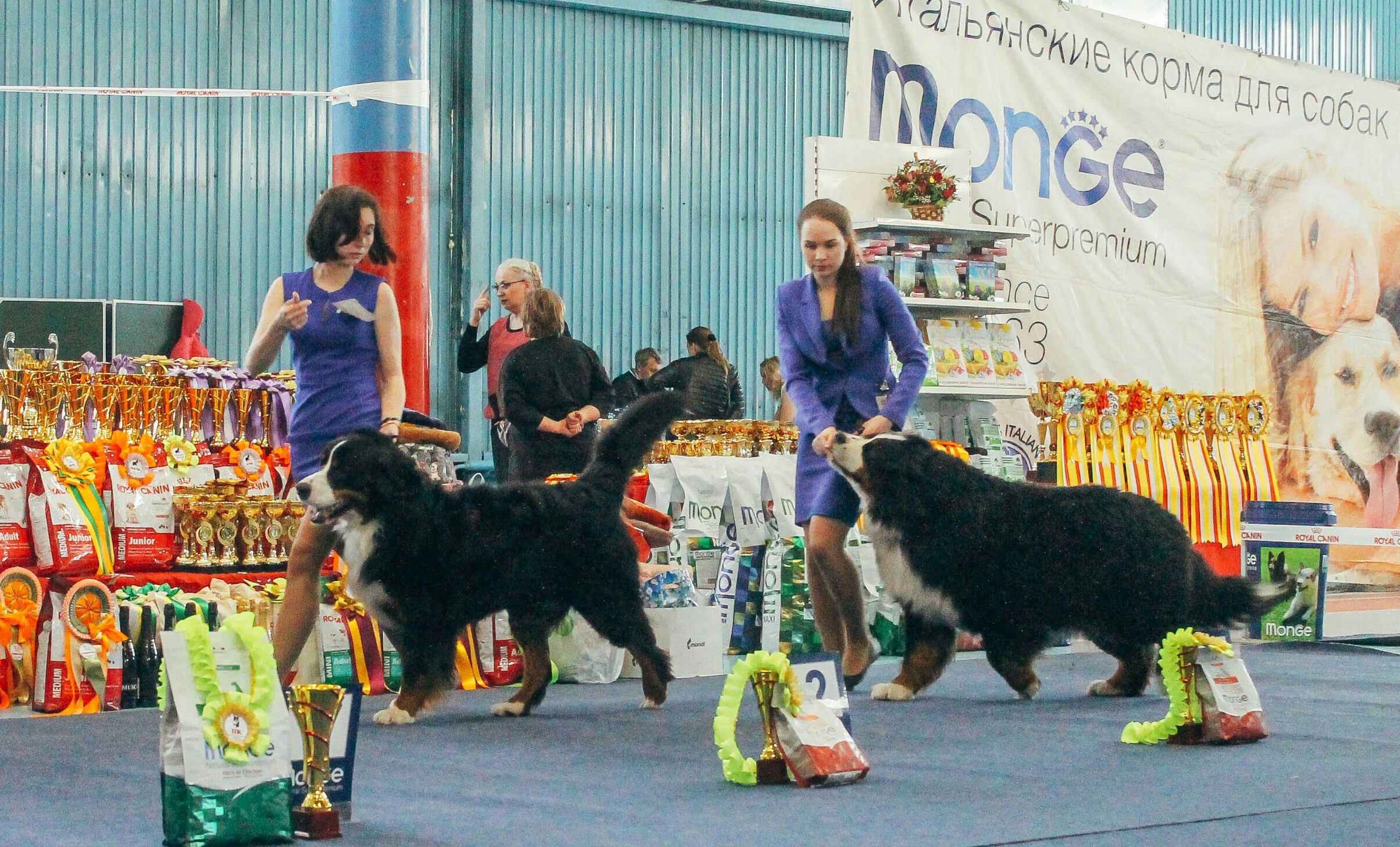 20170415-IMG_5823-1-1.jpg