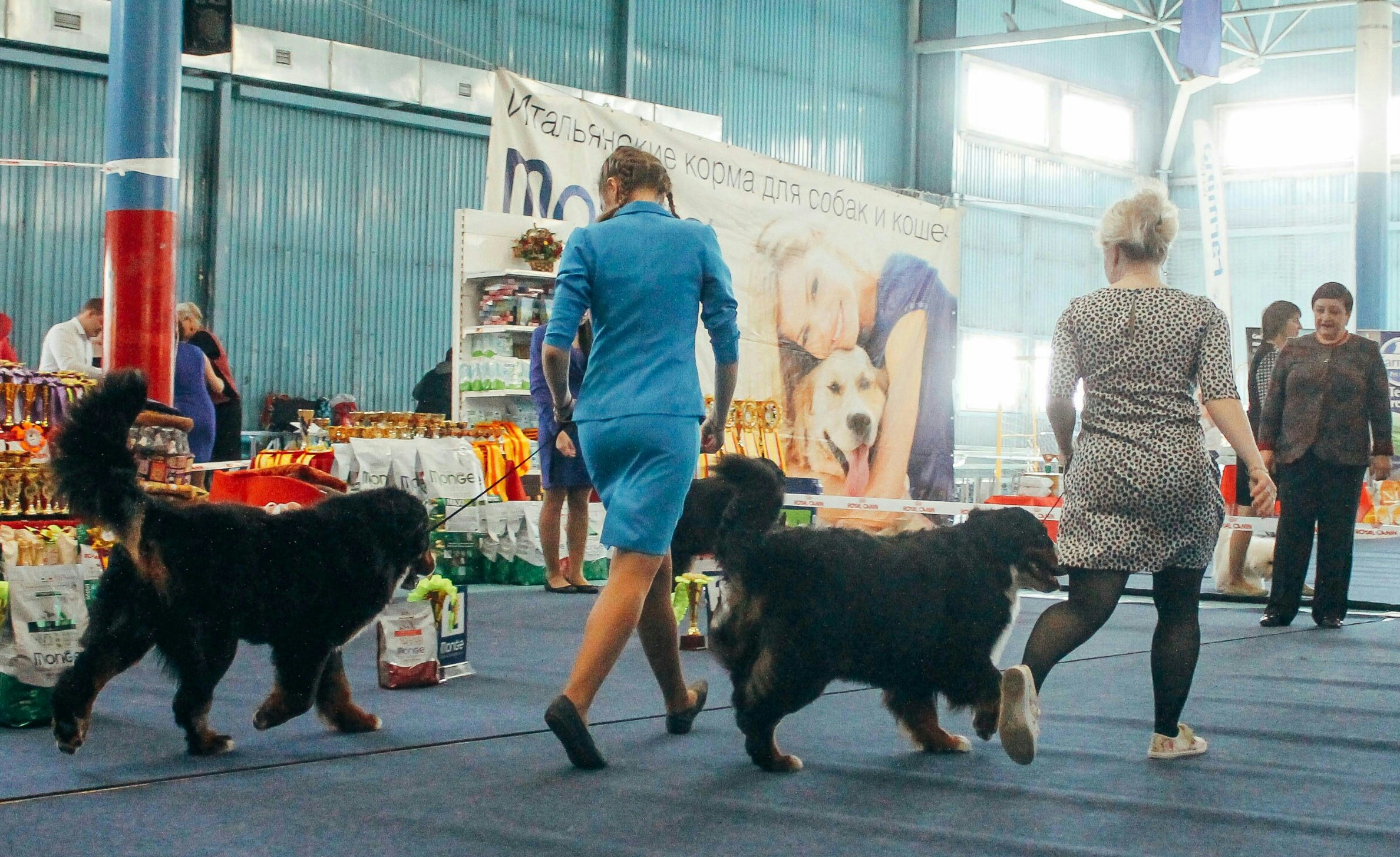 20170415-IMG_6111-1-1-1.jpg
