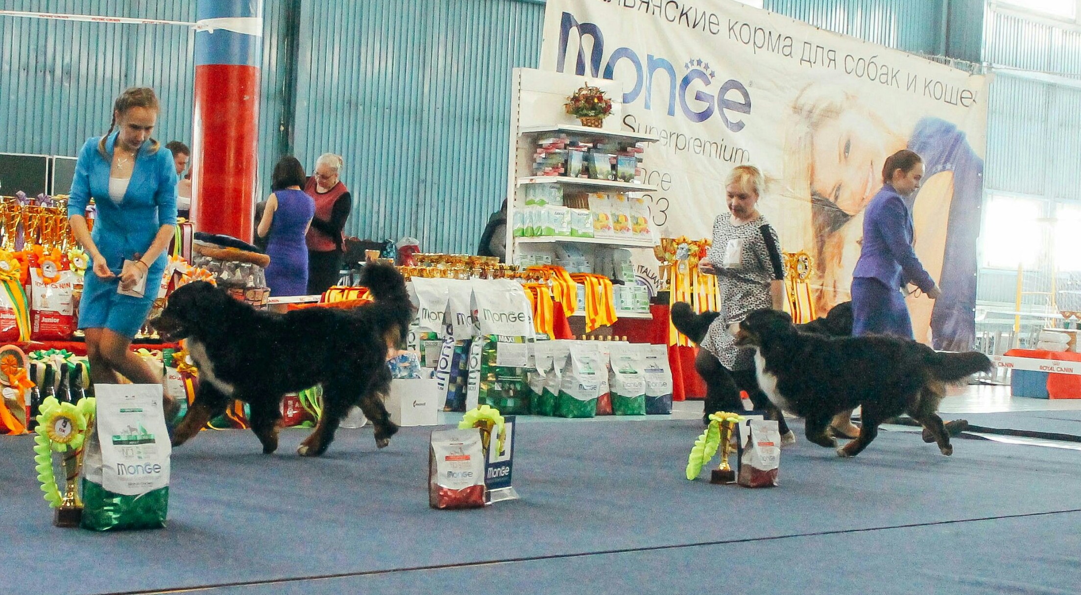 20170415-IMG_6114-1-1-1.jpg