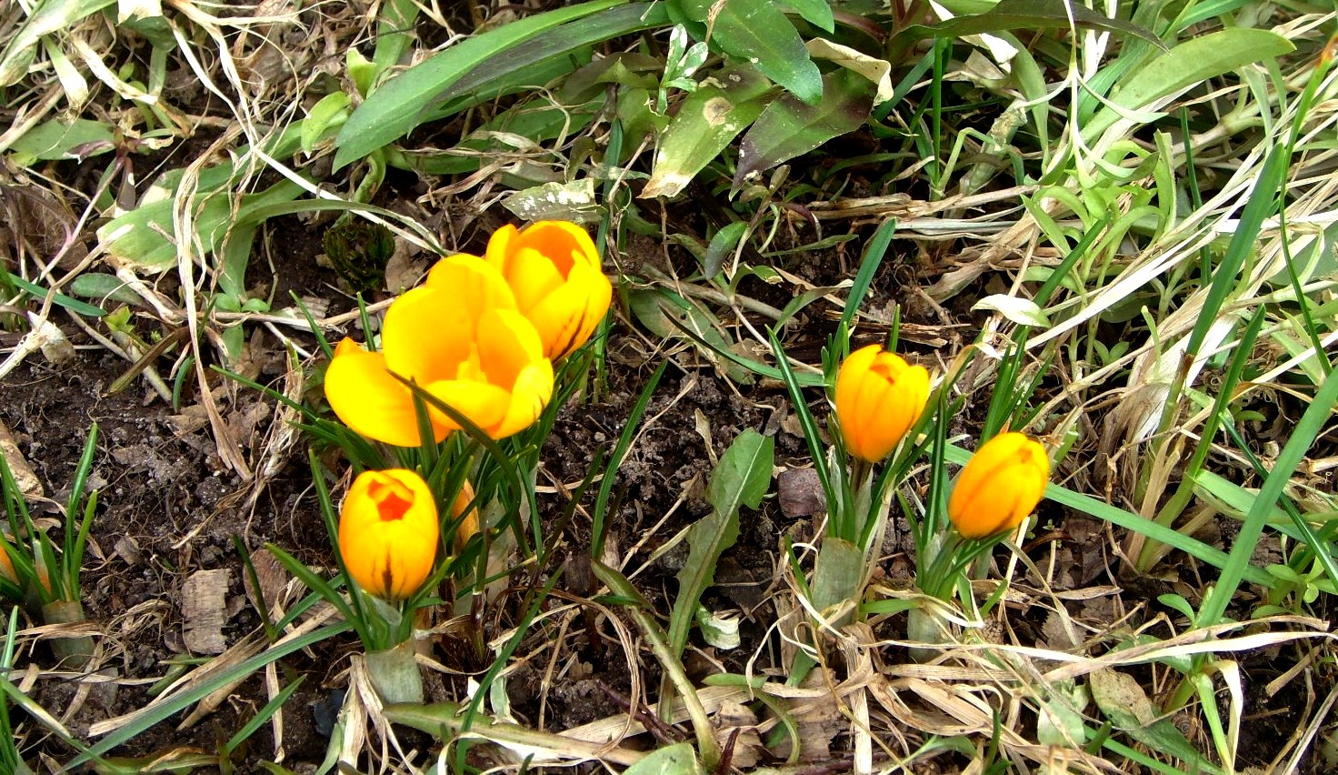 DSC03656.JPG