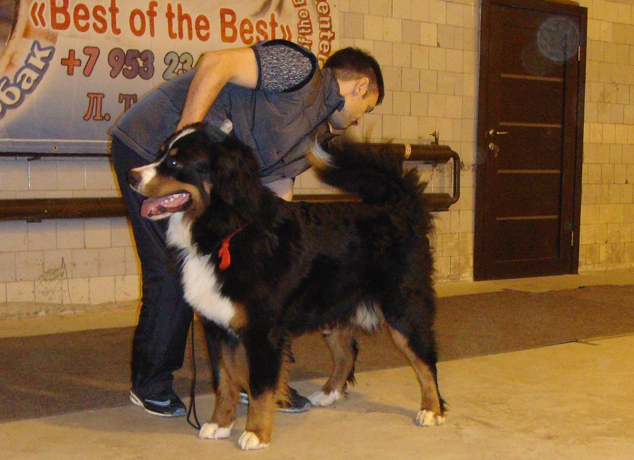 DSC03710.JPG