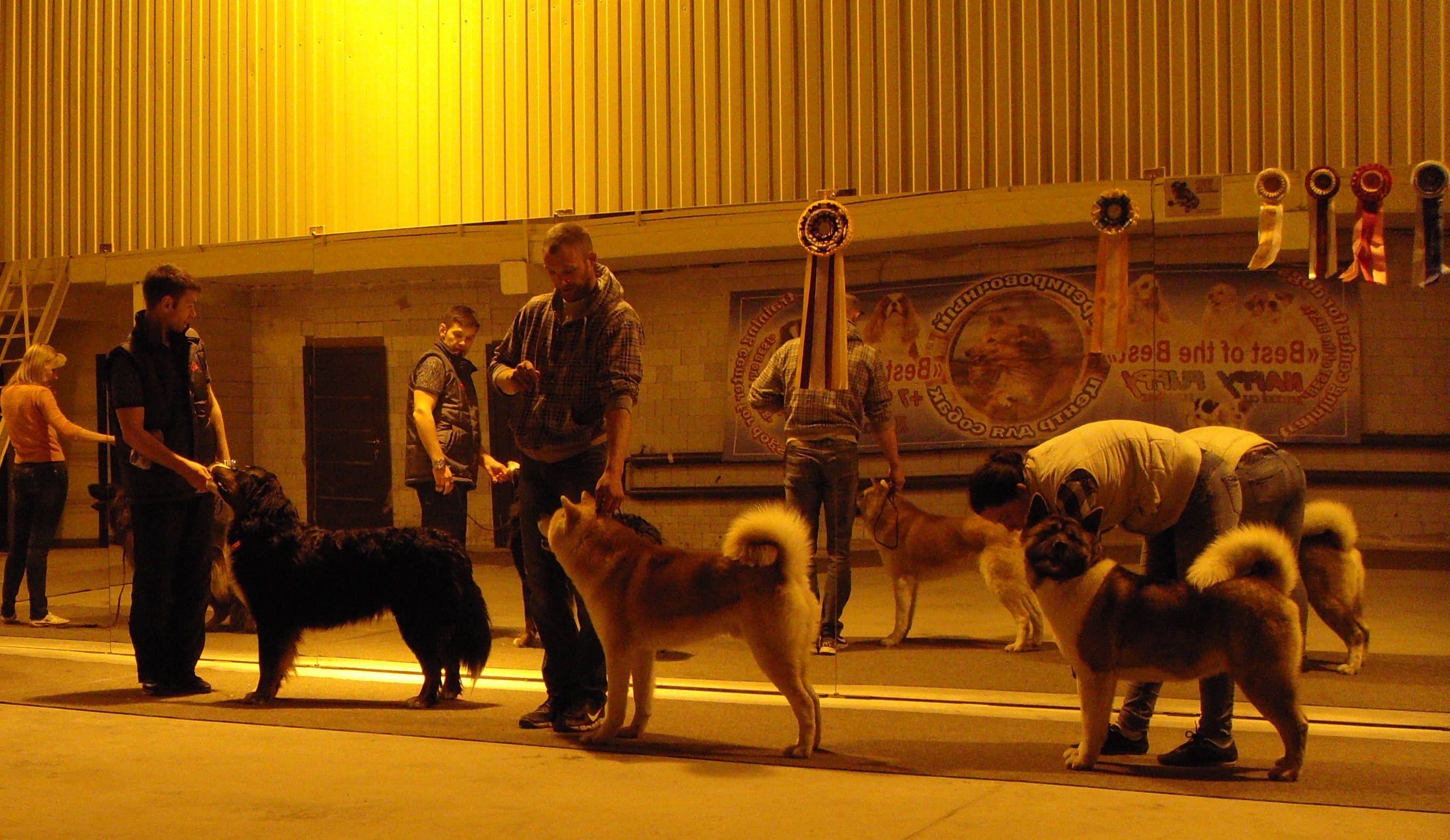 DSC03726.JPG