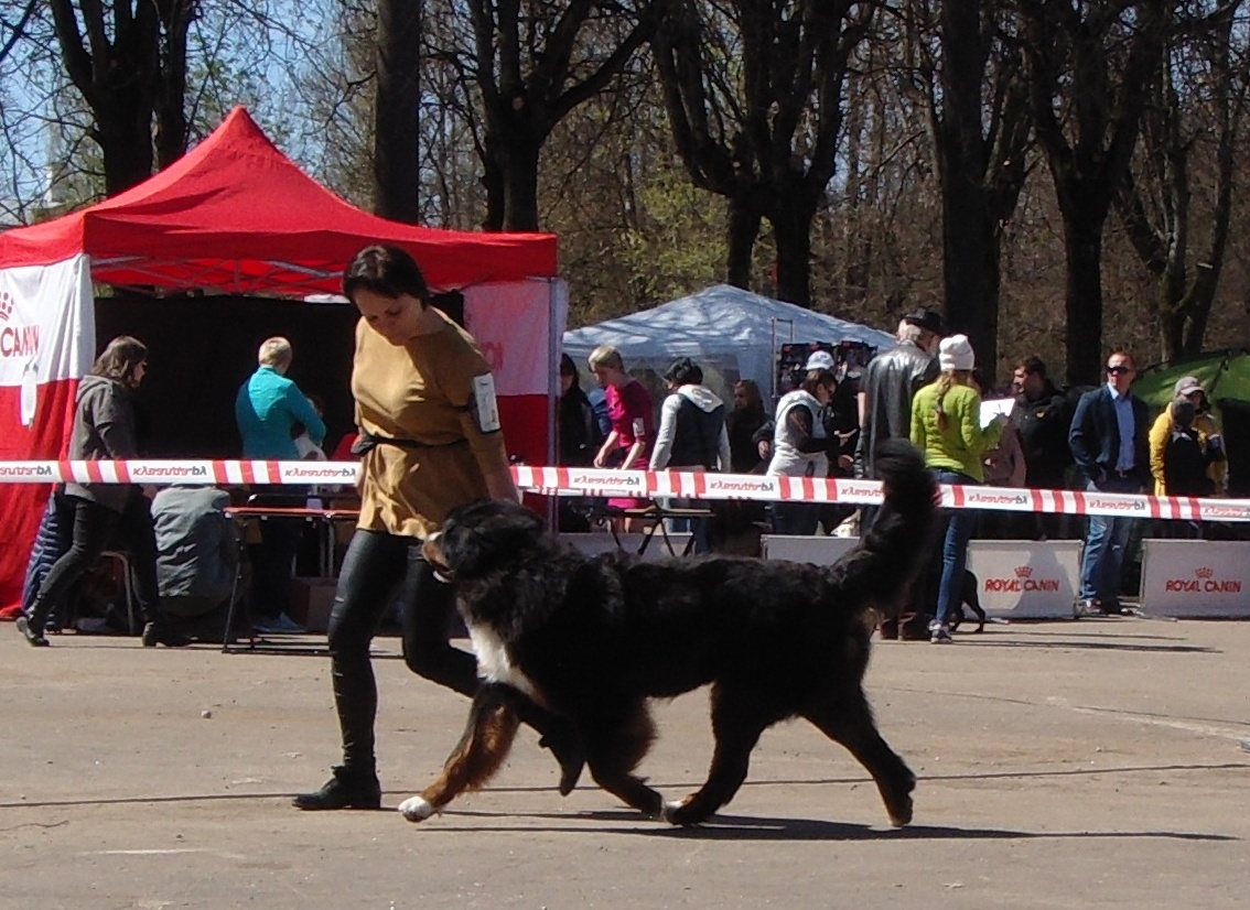 DSC03763.JPG