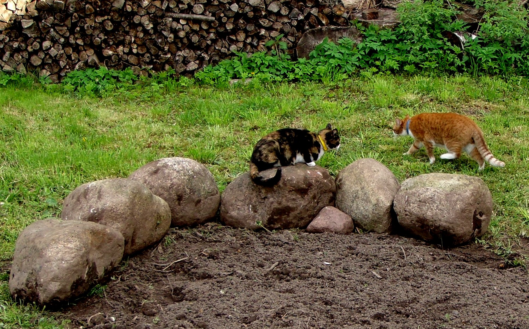 DSC03852.JPG