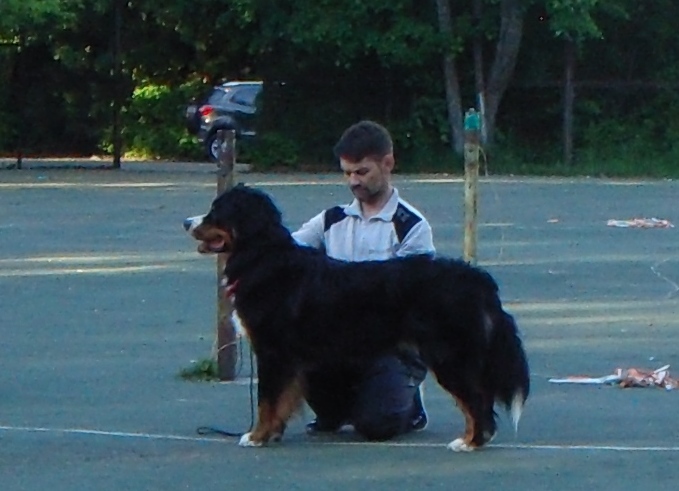 DSC039171.JPG