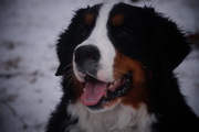 DSC05411_новый размер.JPG