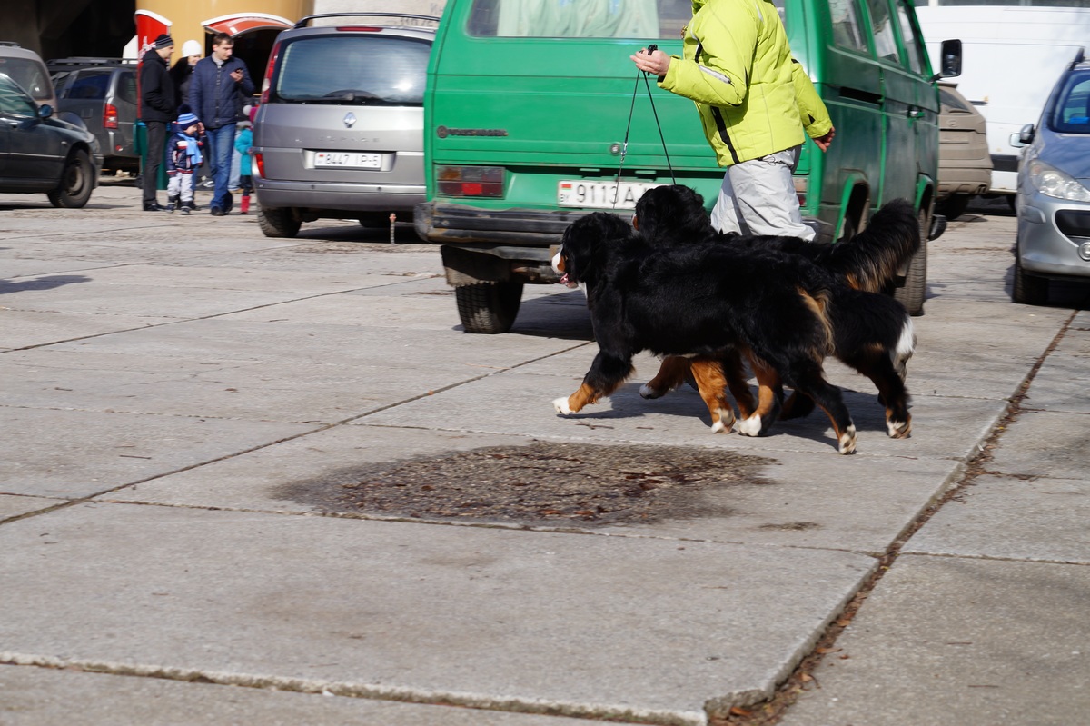 DSC056559(1).jpg