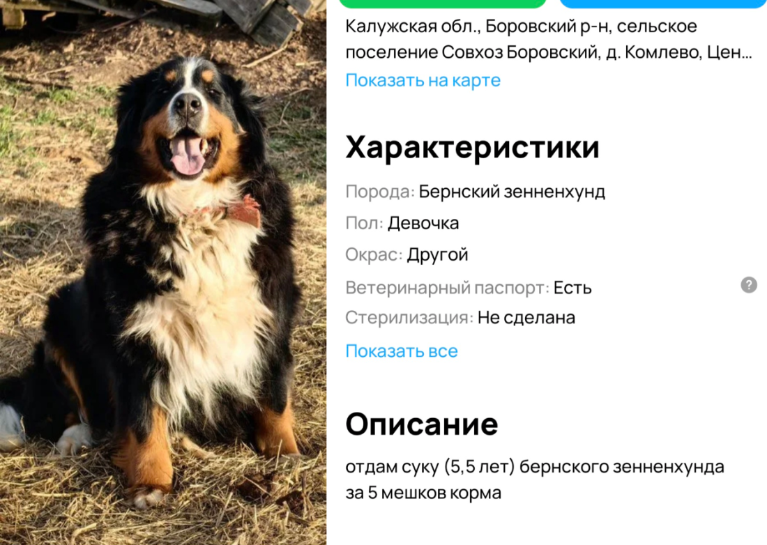 image-100.png