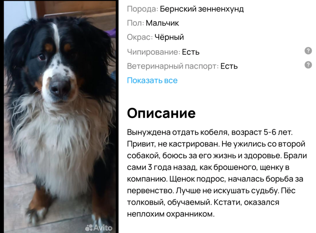 image-102.png