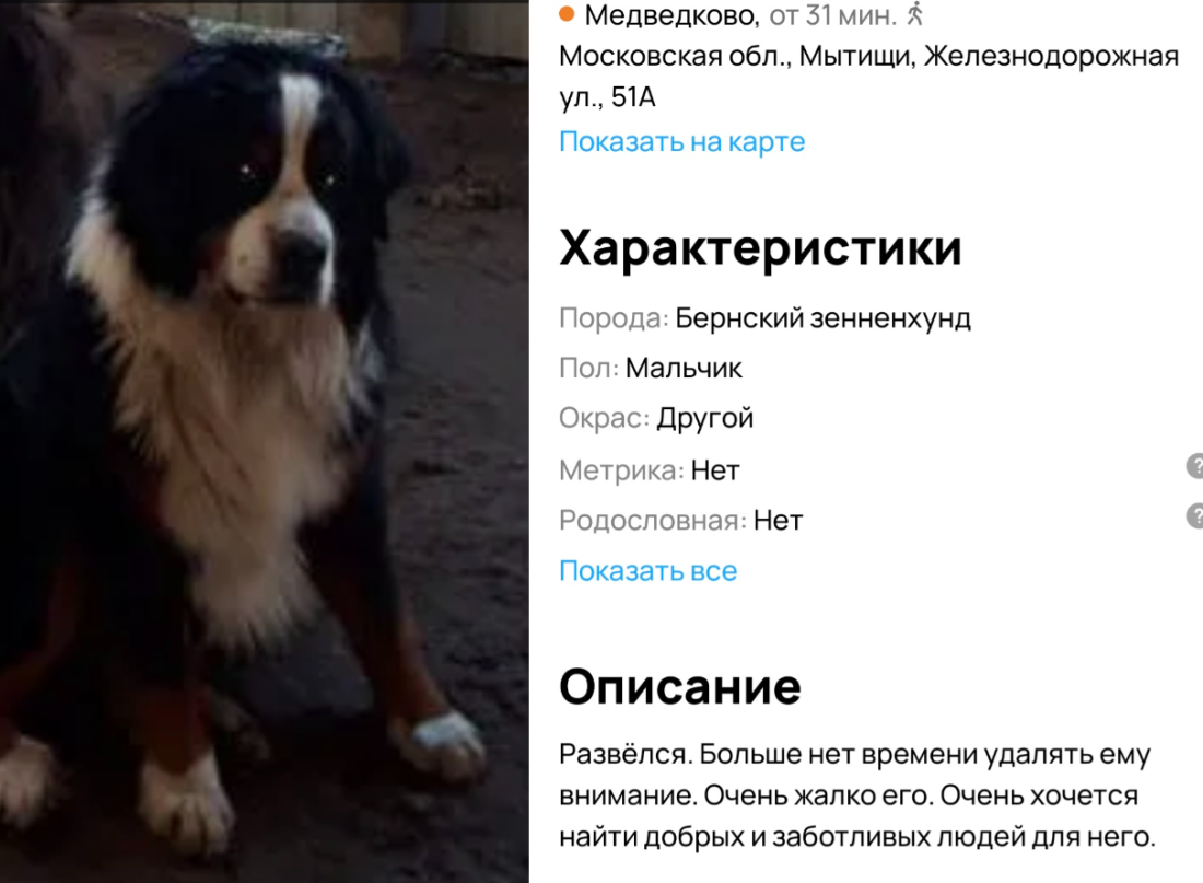 image-103.png