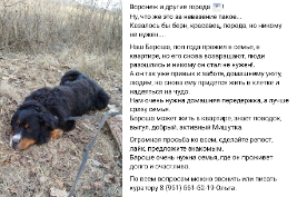image-110.png