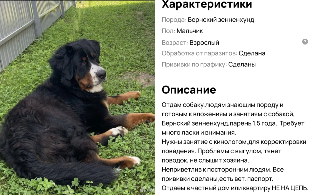 image-117.png