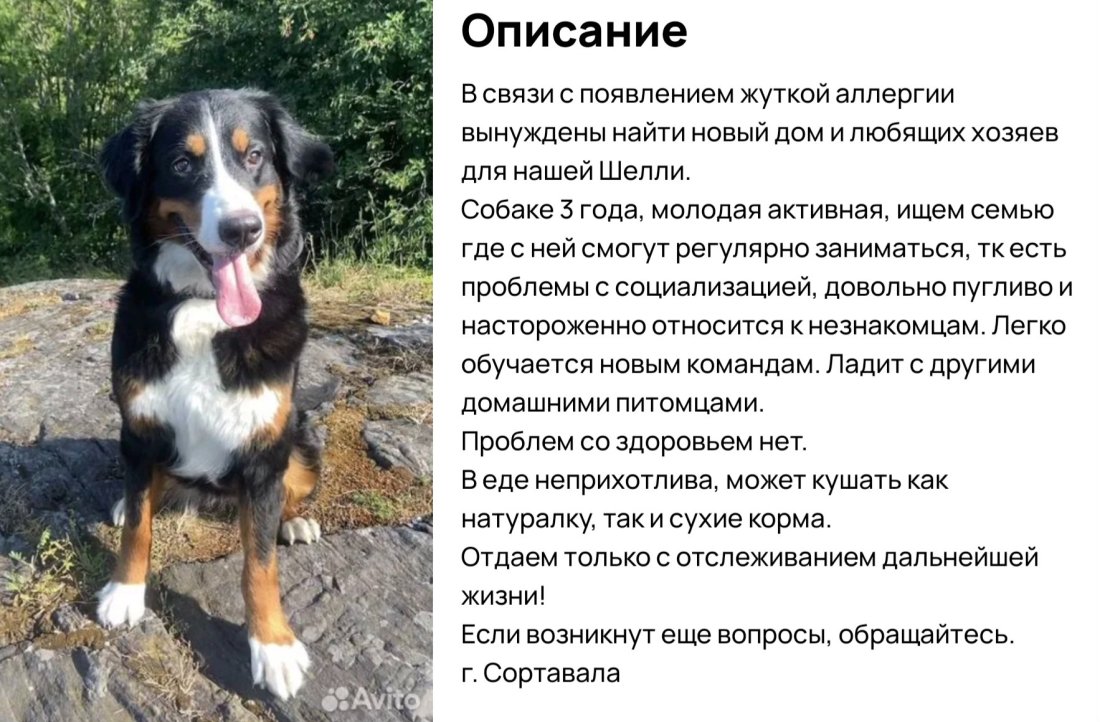 image-8.jpg