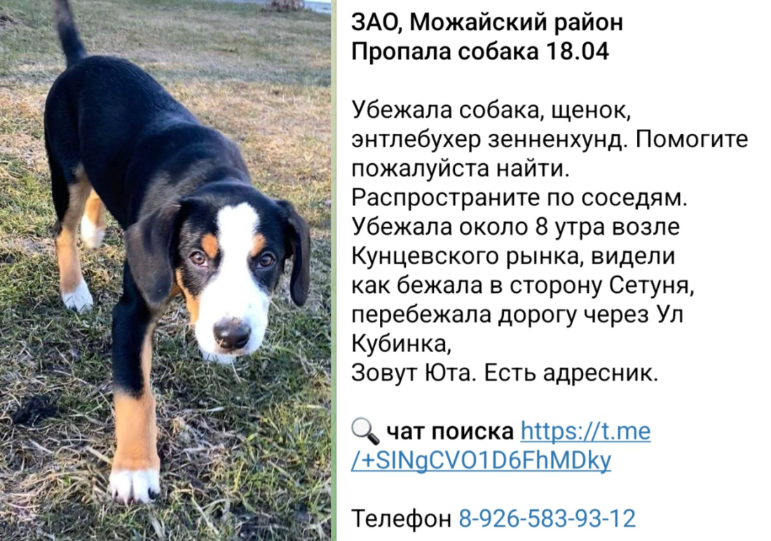 image-90.png