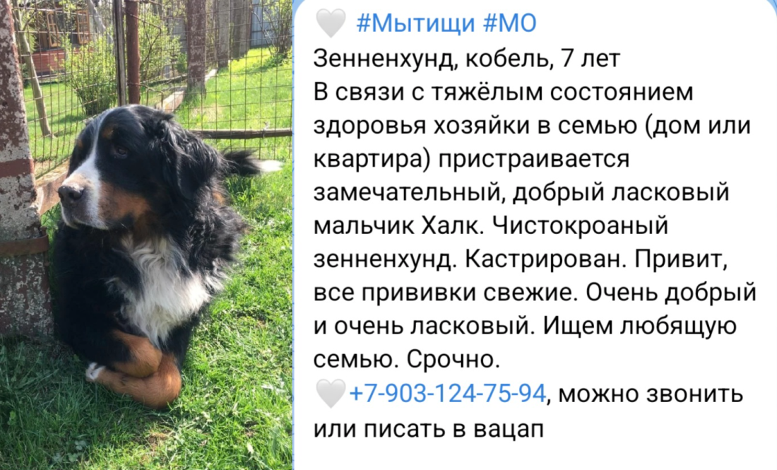 image-93.png