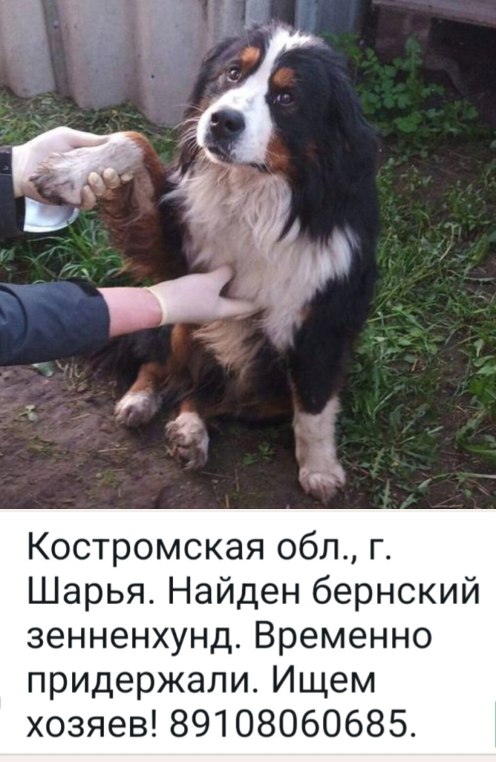 image-99.png