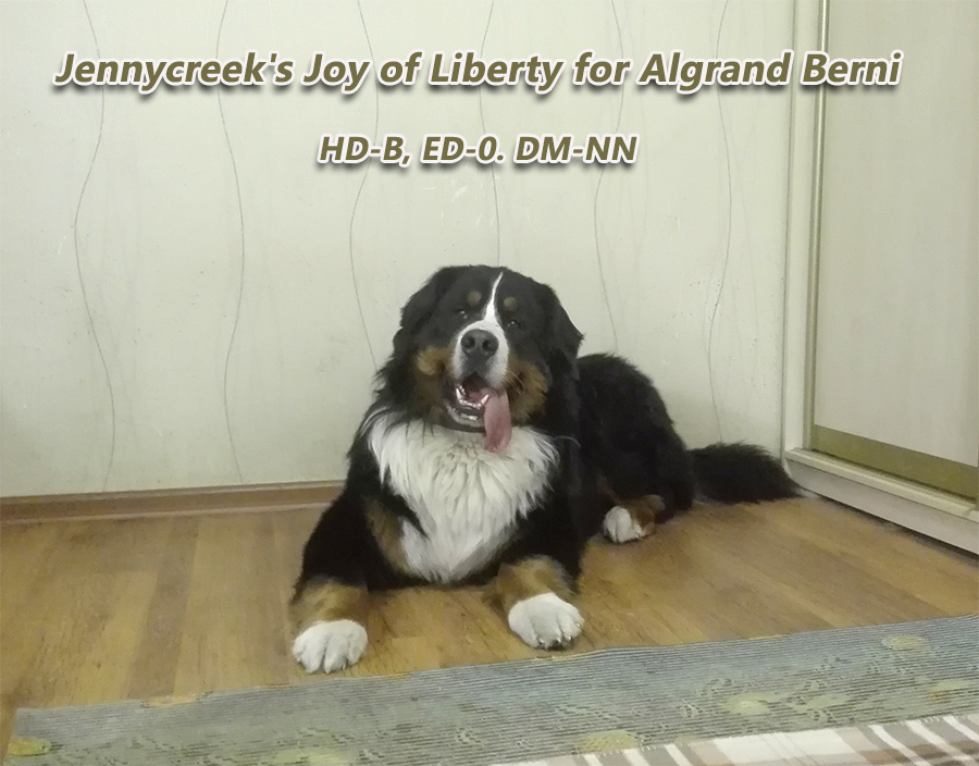 IMG_20170207_184104 (1).jpg