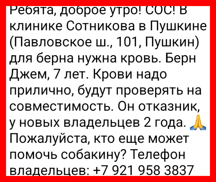 luxa.org-bordered-Screenshot_20240930_103124_Telegram.jpg