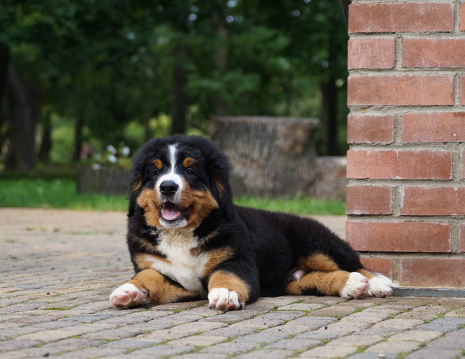 photofacefun_com_1504763010.jpg