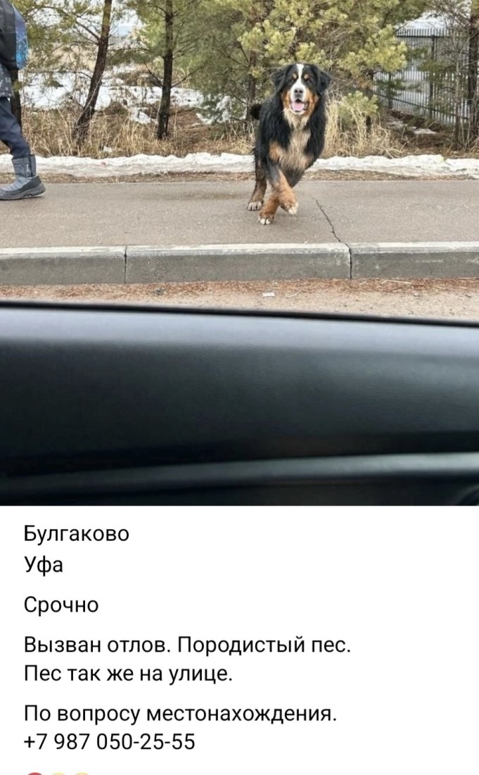 Screenshot_20250318_104756_VK.jpg