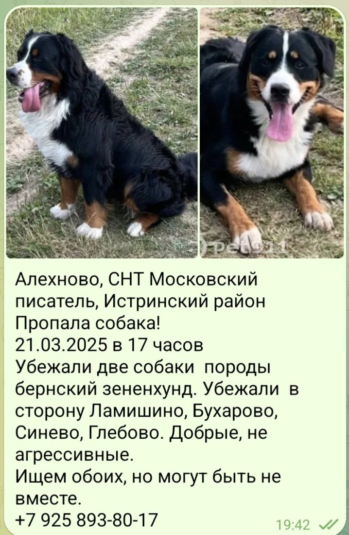 Screenshot_20250322_194311_Telegram.jpg