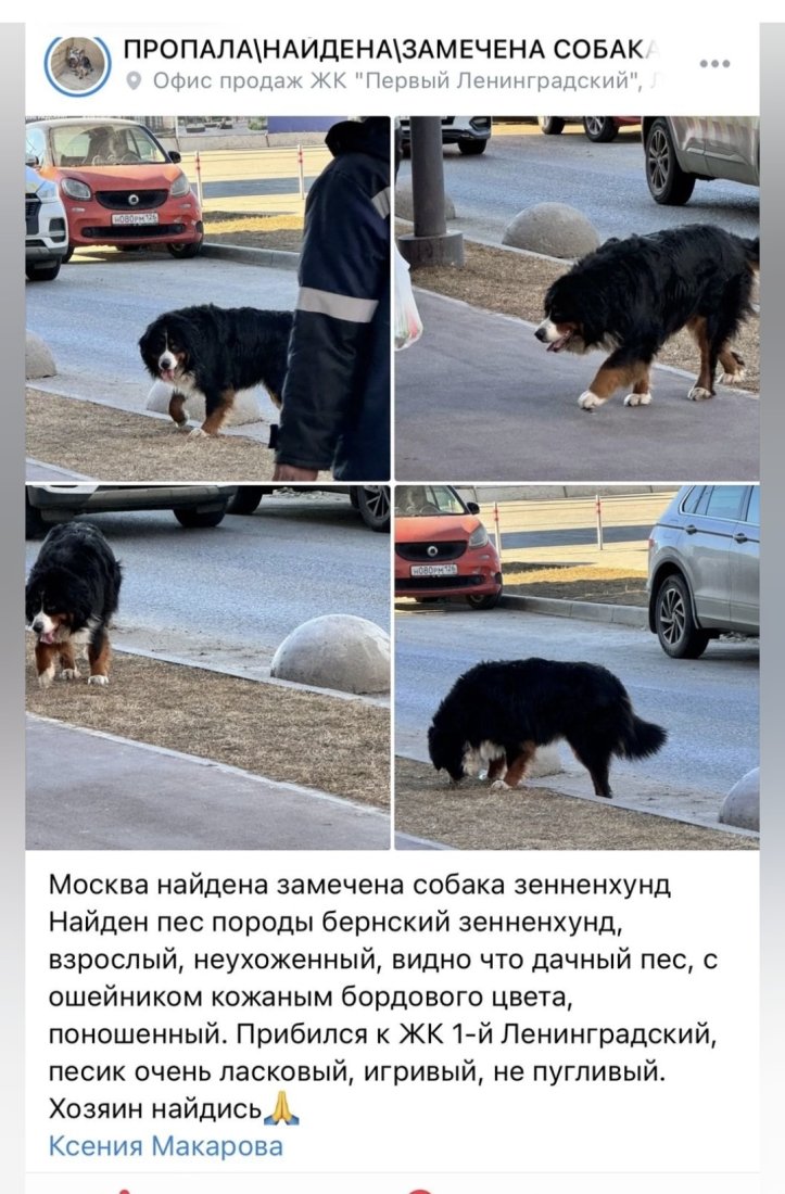 Screenshot_20250322_204914_VK.jpg