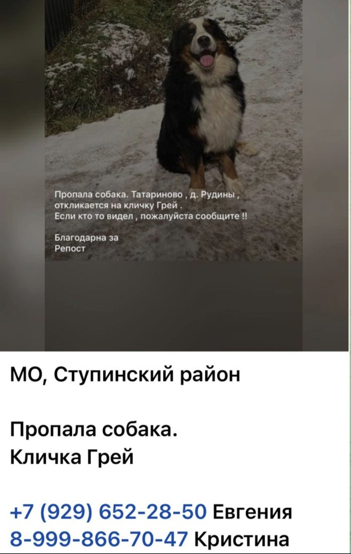 Screenshot_20250328_124756_WhatsApp.jpg