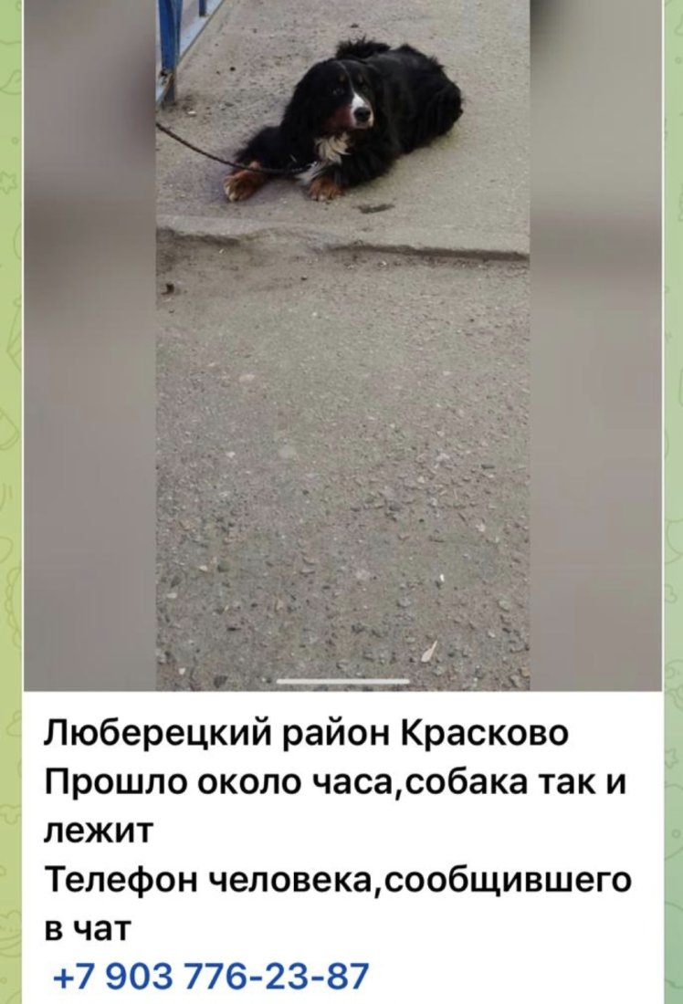 Screenshot_20250403_210856_WhatsApp.jpg