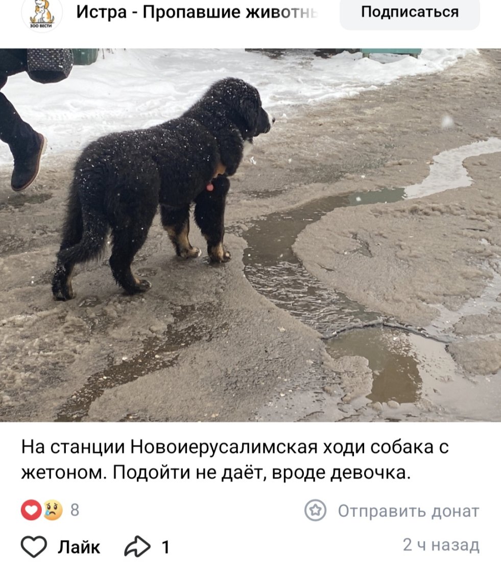 Screenshot_20250408_114339_VK.jpg