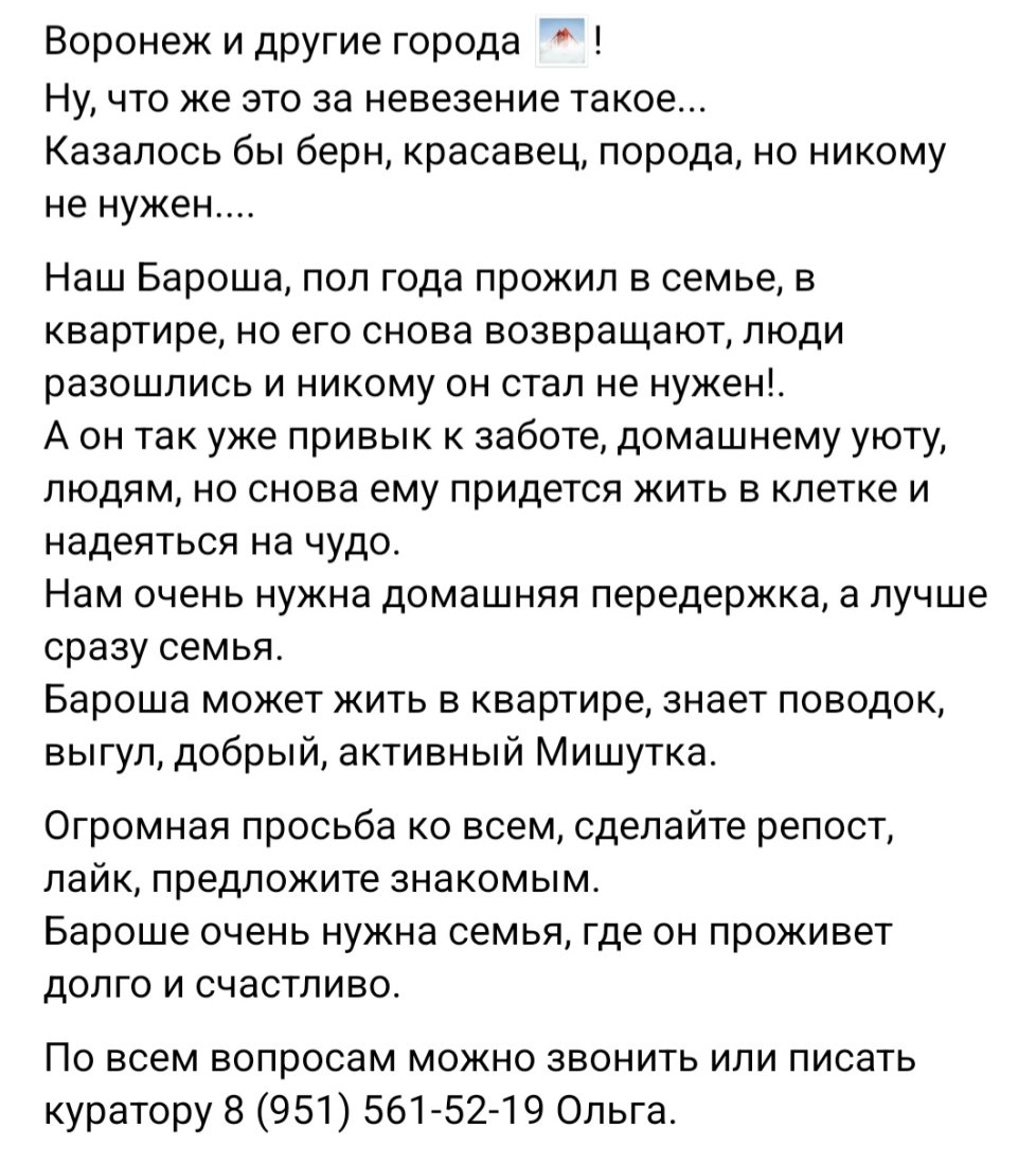 Screenshot_20250613_152553_VK.jpg