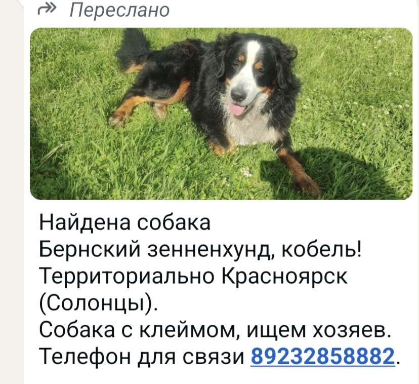 Screenshot_20250616_075822_WhatsApp.jpg