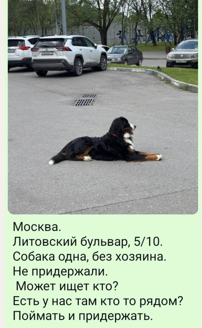 Screenshot_20250624_120150_WhatsApp.jpg