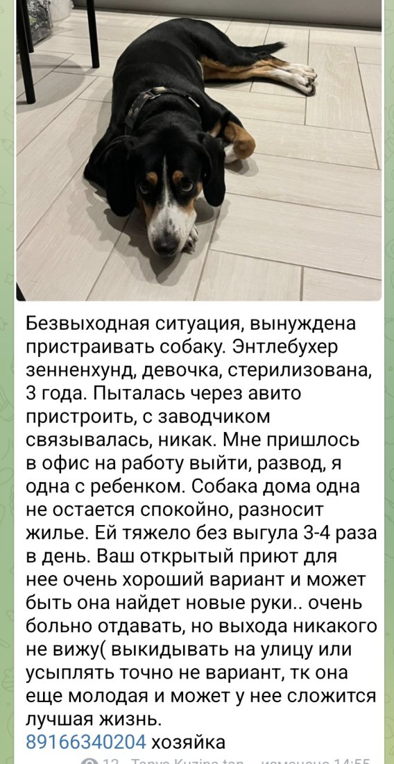 Screenshot_20250728_152006_Telegram.jpg