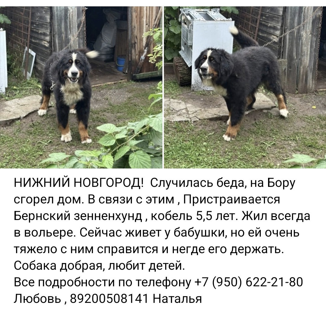 Screenshot_20250806_143019_VK.jpg