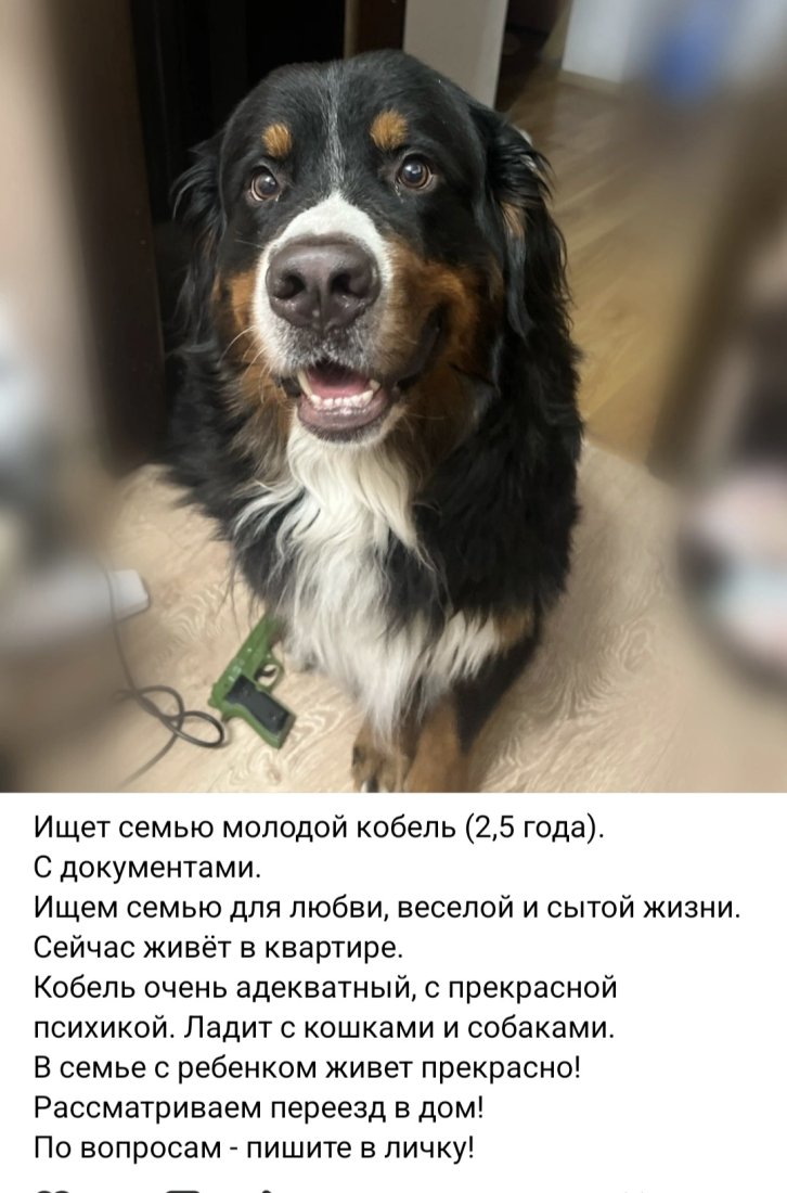 Screenshot_20250810_073322_VK.jpg