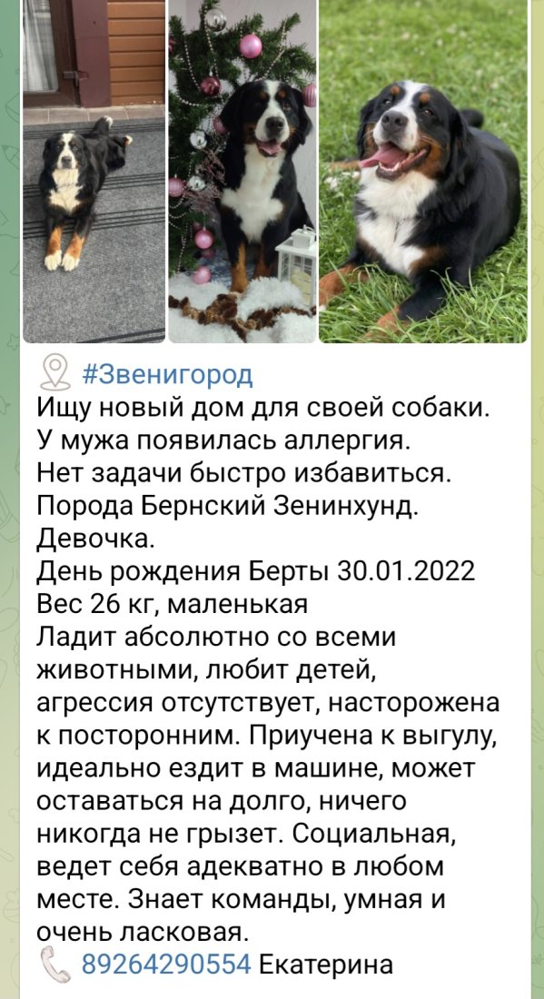 Screenshot_20250926_221249_Telegram.jpg