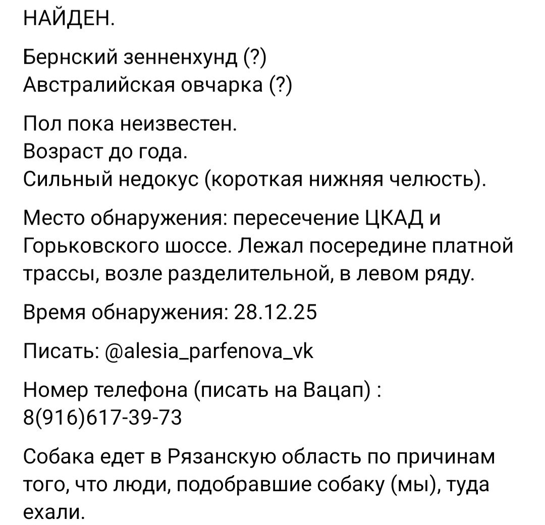 Screenshot_20251228_224152_VK.jpg