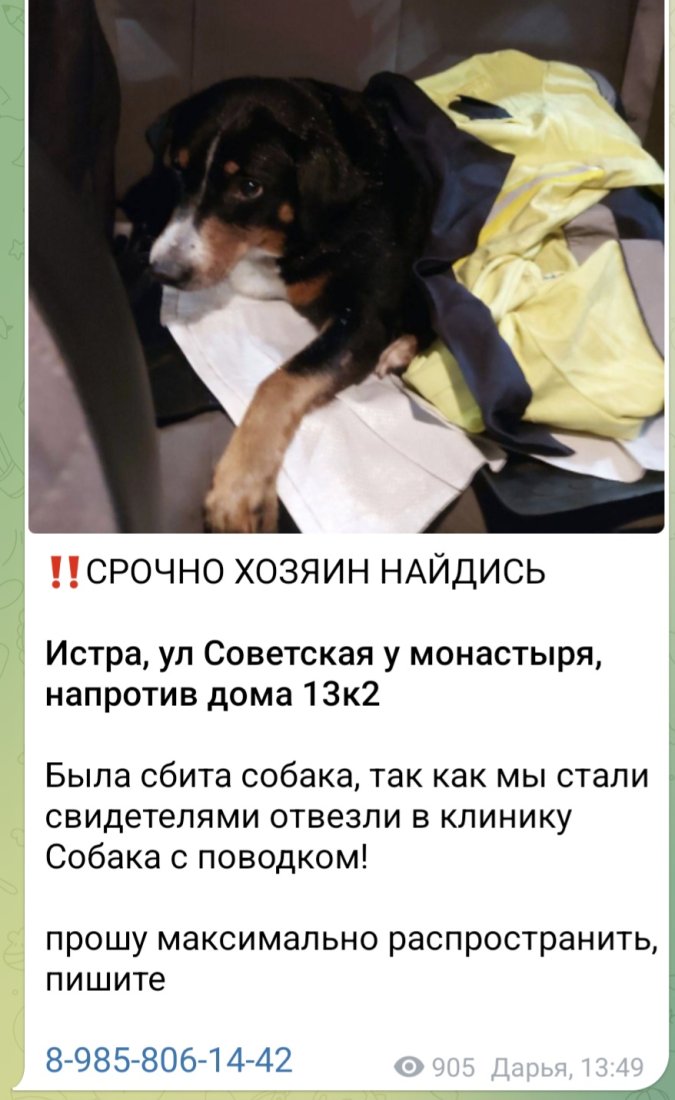 Screenshot_20251230_143738_Telegram.jpg