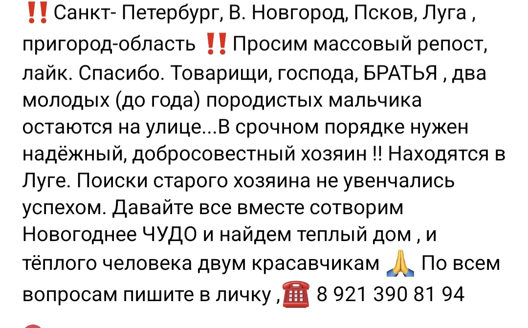 Screenshot_20251231_070633_VK.jpg