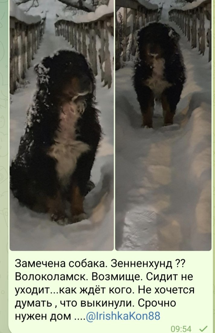 Screenshot_20260104_095730_Telegram.jpg