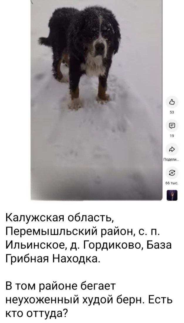 Screenshot_20260114_043510_Telegram.jpg