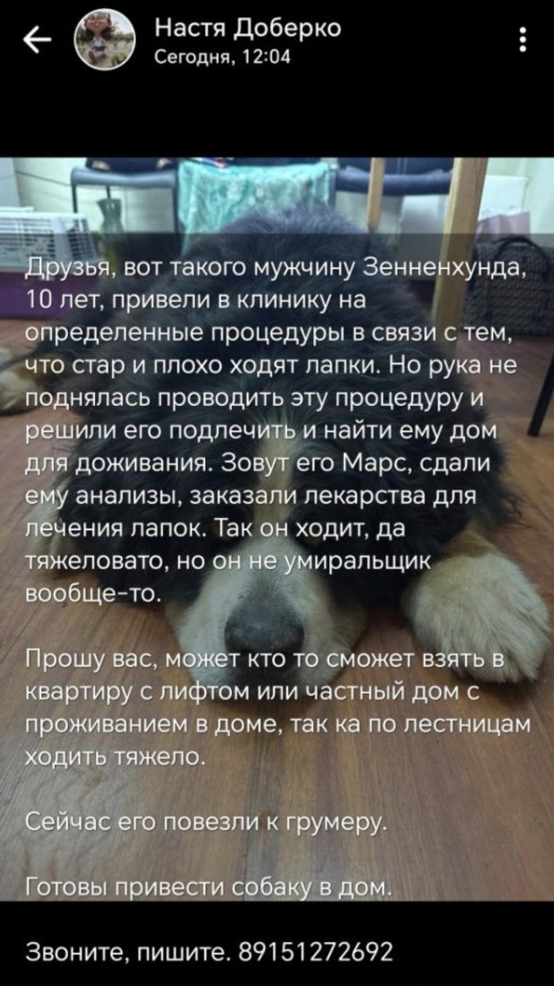 Screenshot_20260114_044707_VK.jpg