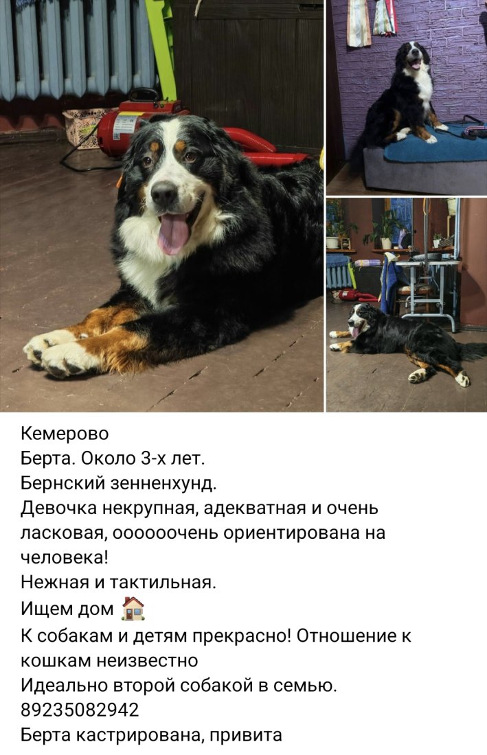 Screenshot_20260115_214126_VK.jpg