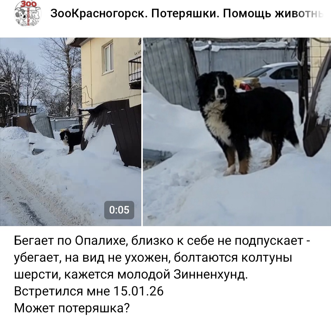 Screenshot_20260117_152717_VK.jpg